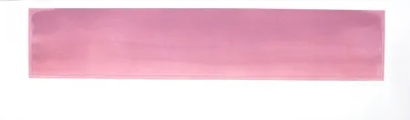 Incisione Hernandez Pijuan - PH-2