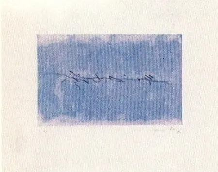 Incisione Hernandez Pijuan - PJ 1