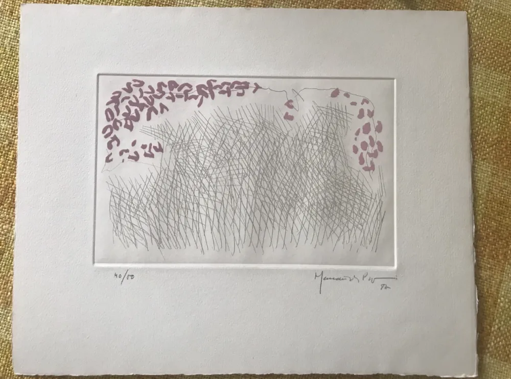 Acquaforte E Acquatinta Hernandez Pijuan - PJ-10