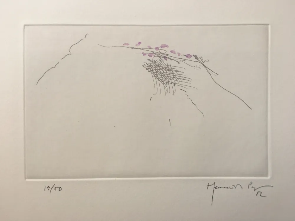 Incisione Hernandez Pijuan - PJ8