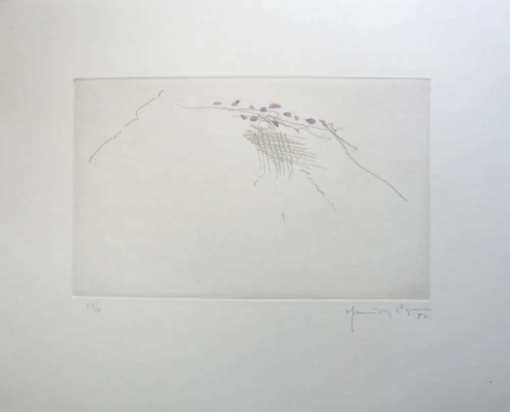 Incisione Hernandez Pijuan - PJ8