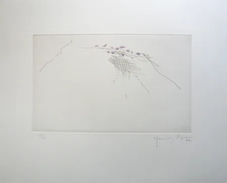 Incisione Hernandez Pijuan - PJ8