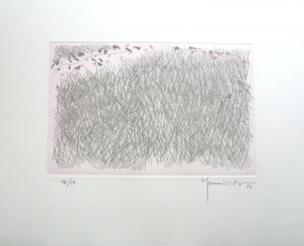 Incisione Hernandez Pijuan - PJ9