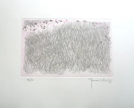 Incisione Hernandez Pijuan - PJ9