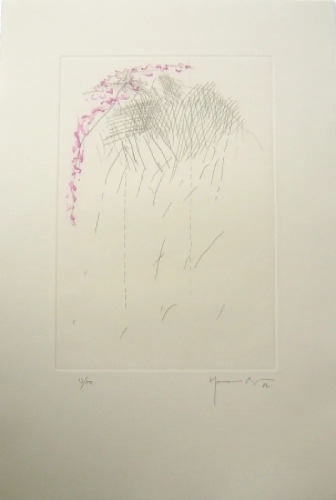 Incisione Hernandez Pijuan - PL1