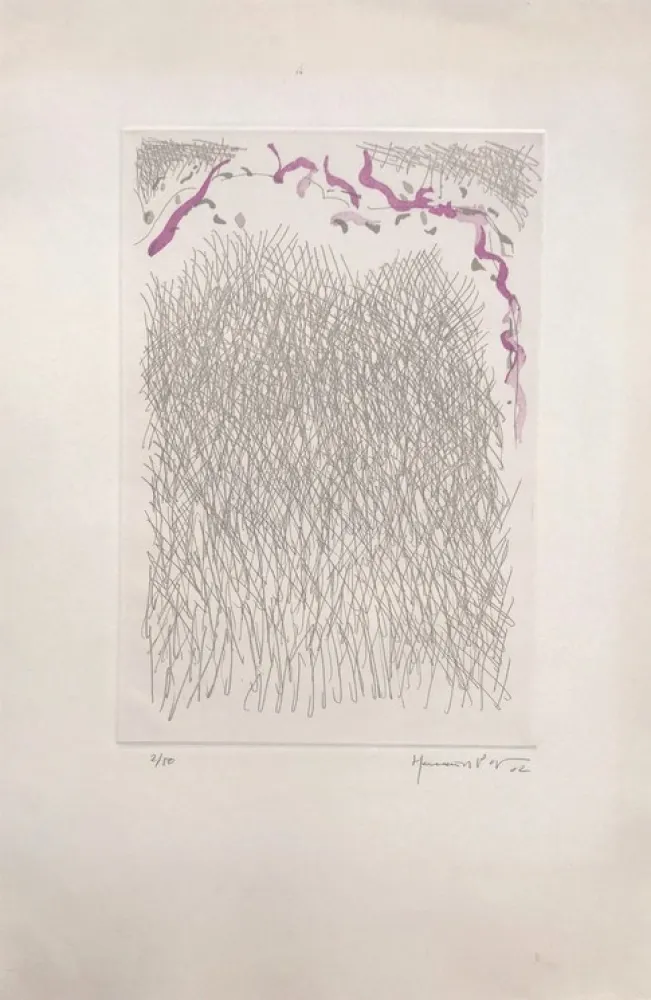 Incisione Hernandez Pijuan - PL2