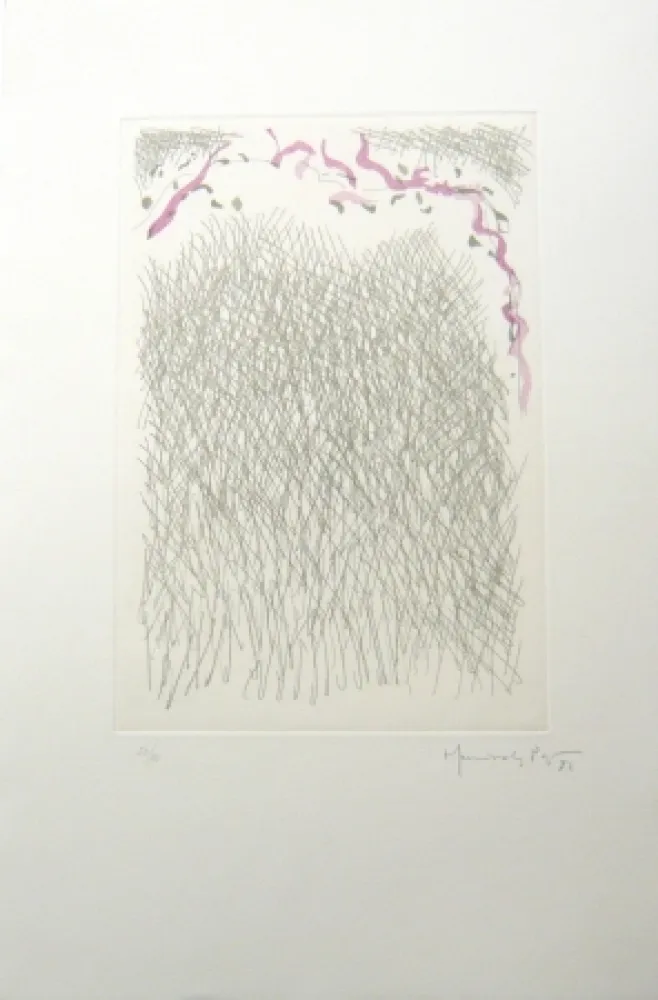 Incisione Hernandez Pijuan - PL2