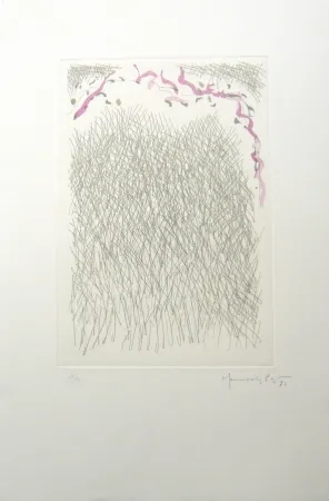 Incisione Hernandez Pijuan - PL2