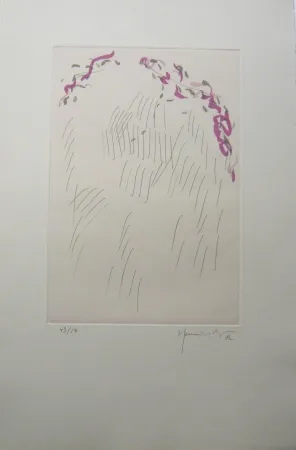 Incisione Hernandez Pijuan - PL3