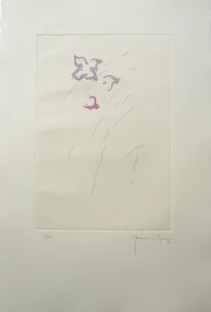 Incisione Hernandez Pijuan - PL4