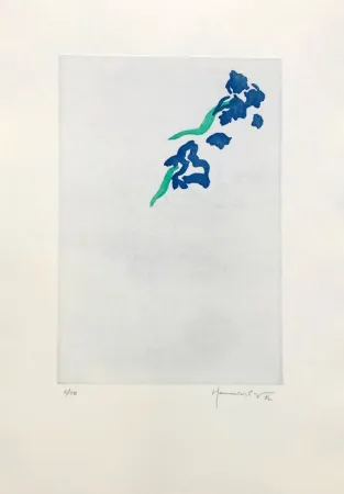 Incisione Hernandez Pijuan - PL5