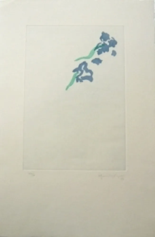 Incisione Hernandez Pijuan - PL5