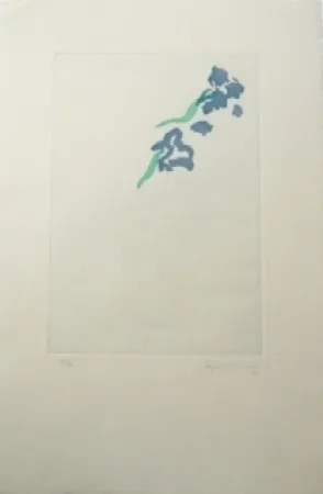 Incisione Hernandez Pijuan - PL5