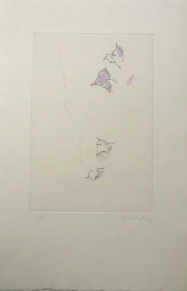 Incisione Hernandez Pijuan - PL6