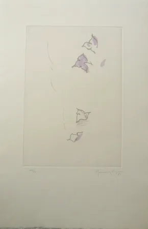 Incisione Hernandez Pijuan - PL6