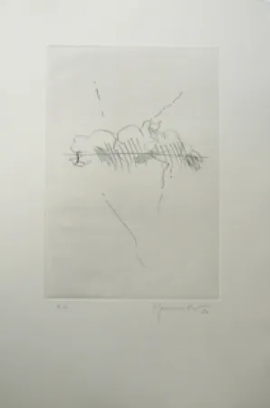 Incisione Hernandez Pijuan - PL7