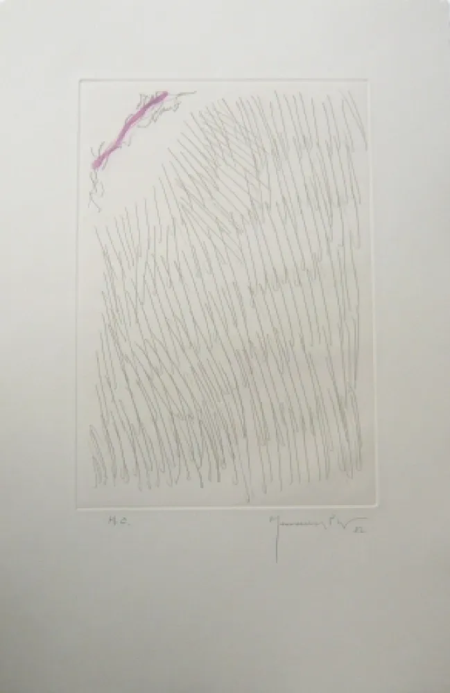 Incisione Hernandez Pijuan - PL8