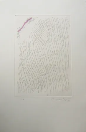 Incisione Hernandez Pijuan - PL8