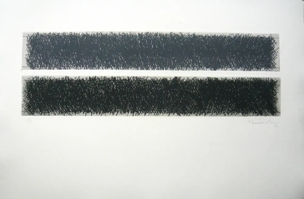 Incisione Hernandez Pijuan - Polychrome 10