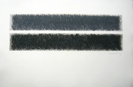 Incisione Hernandez Pijuan - Polychrome 10