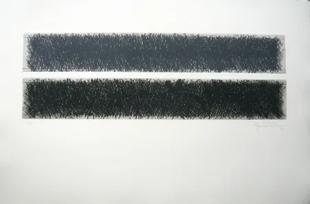 Incisione Hernandez Pijuan - Polychrome 10