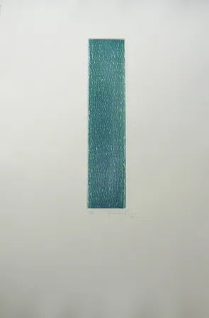 Incisione Hernandez Pijuan - Polychrome 11