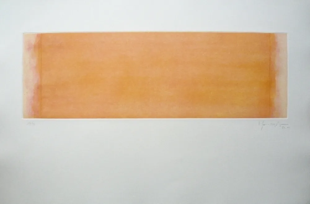 Incisione Hernandez Pijuan - Polychrome 14