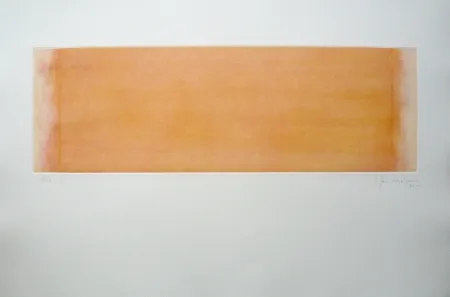 Incisione Hernandez Pijuan - Polychrome 14