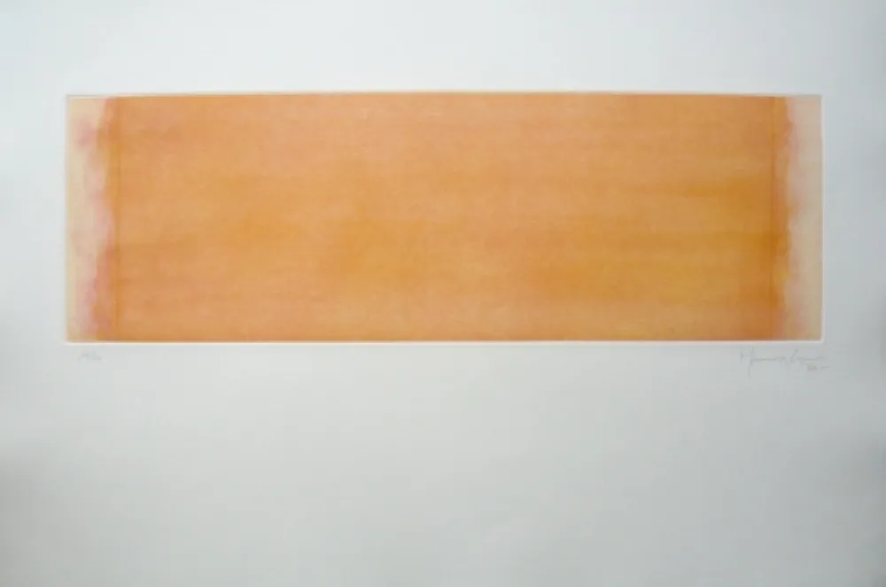 Incisione Hernandez Pijuan - Polychrome 14