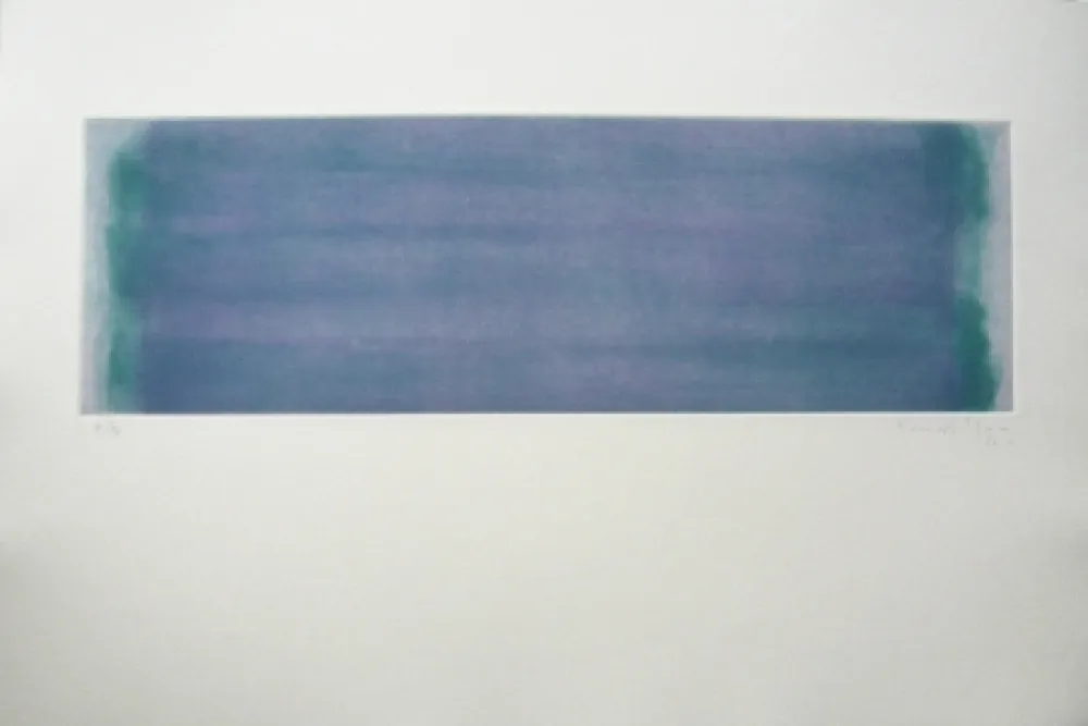 Incisione Hernandez Pijuan - Polychrome 15