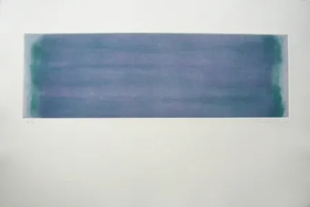 Incisione Hernandez Pijuan - Polychrome 15