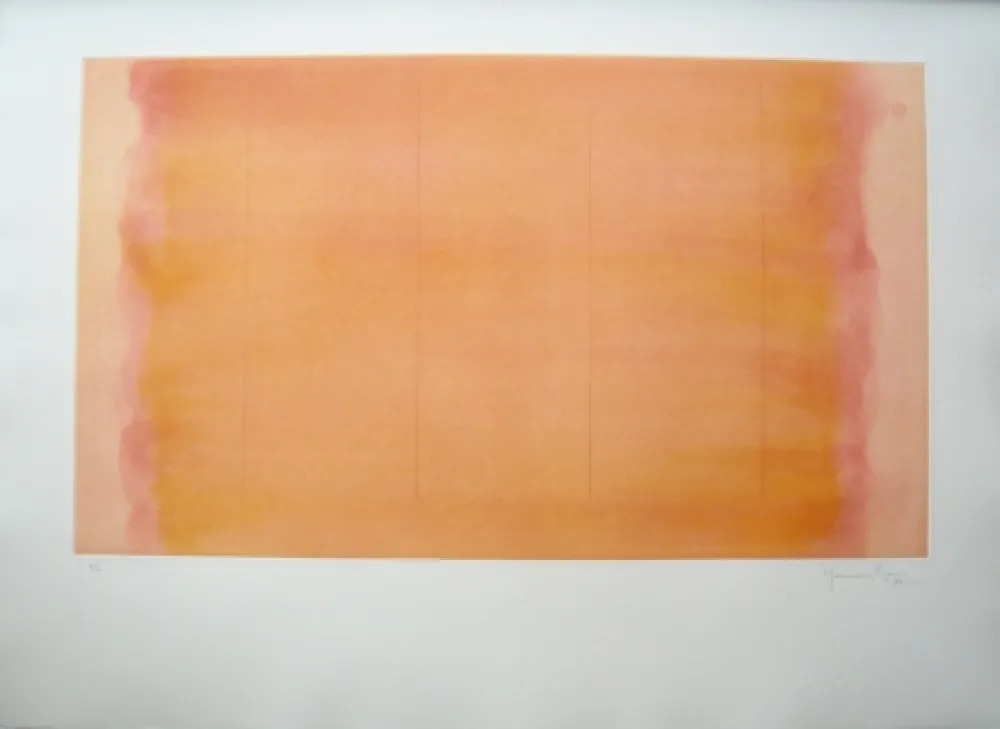 Incisione Hernandez Pijuan - Polychrome 16