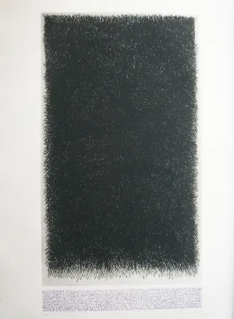 Incisione Hernandez Pijuan - Polychrome 18