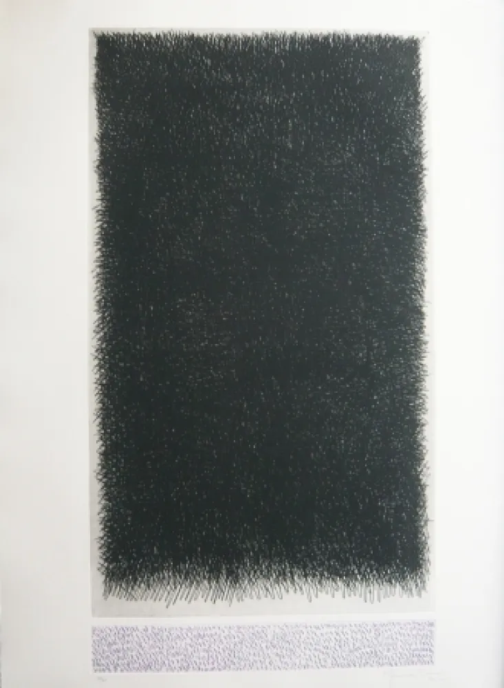 Incisione Hernandez Pijuan - Polychrome 18