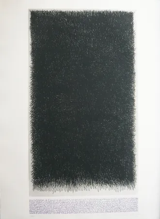 Incisione Hernandez Pijuan - Polychrome 18