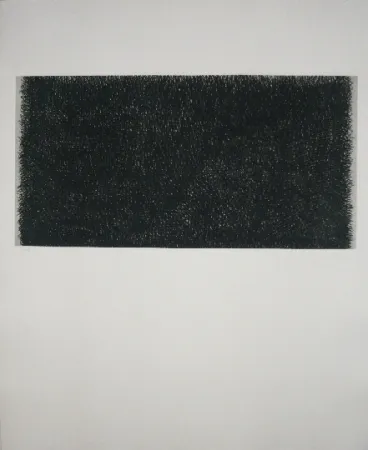 Incisione Hernandez Pijuan - Polychrome 20