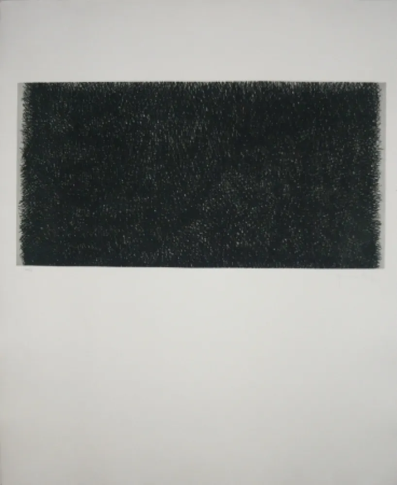 Incisione Hernandez Pijuan - Polychrome 20