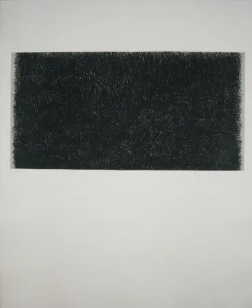 Incisione Hernandez Pijuan - Polychrome 20