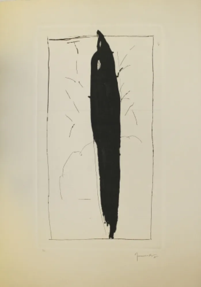 Punta Secca Hernandez Pijuan - Xiprer (Cypress)