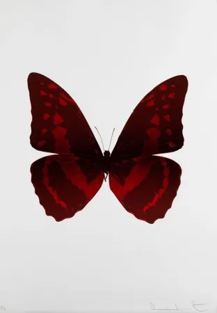 Non Tecnico Hirst - Bristol 