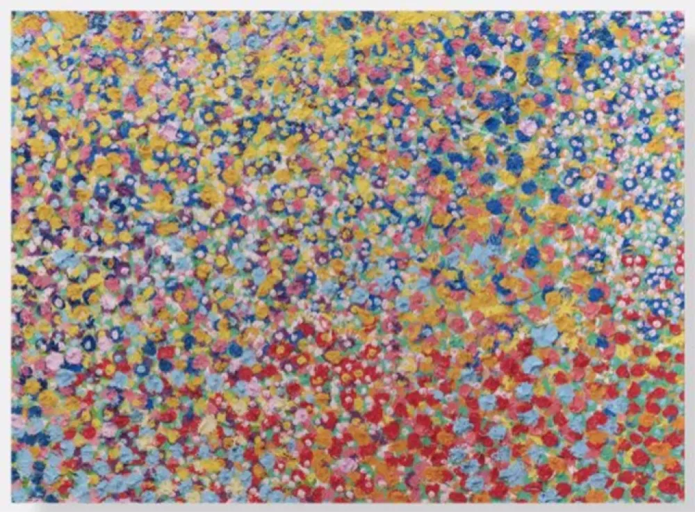 Non Tecnico Hirst - Cannizaro 