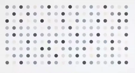 Incisione Hirst - Diacetoxyscirpenol Spot Print