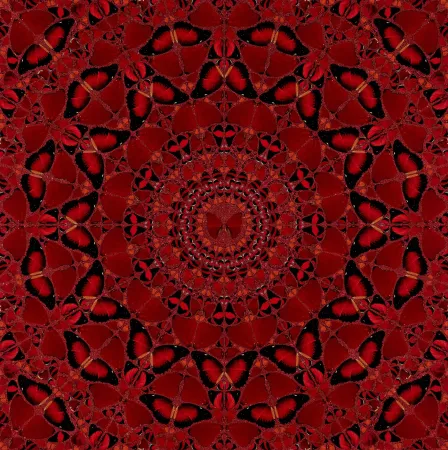 Non Tecnico Hirst - H10-4 Suiko