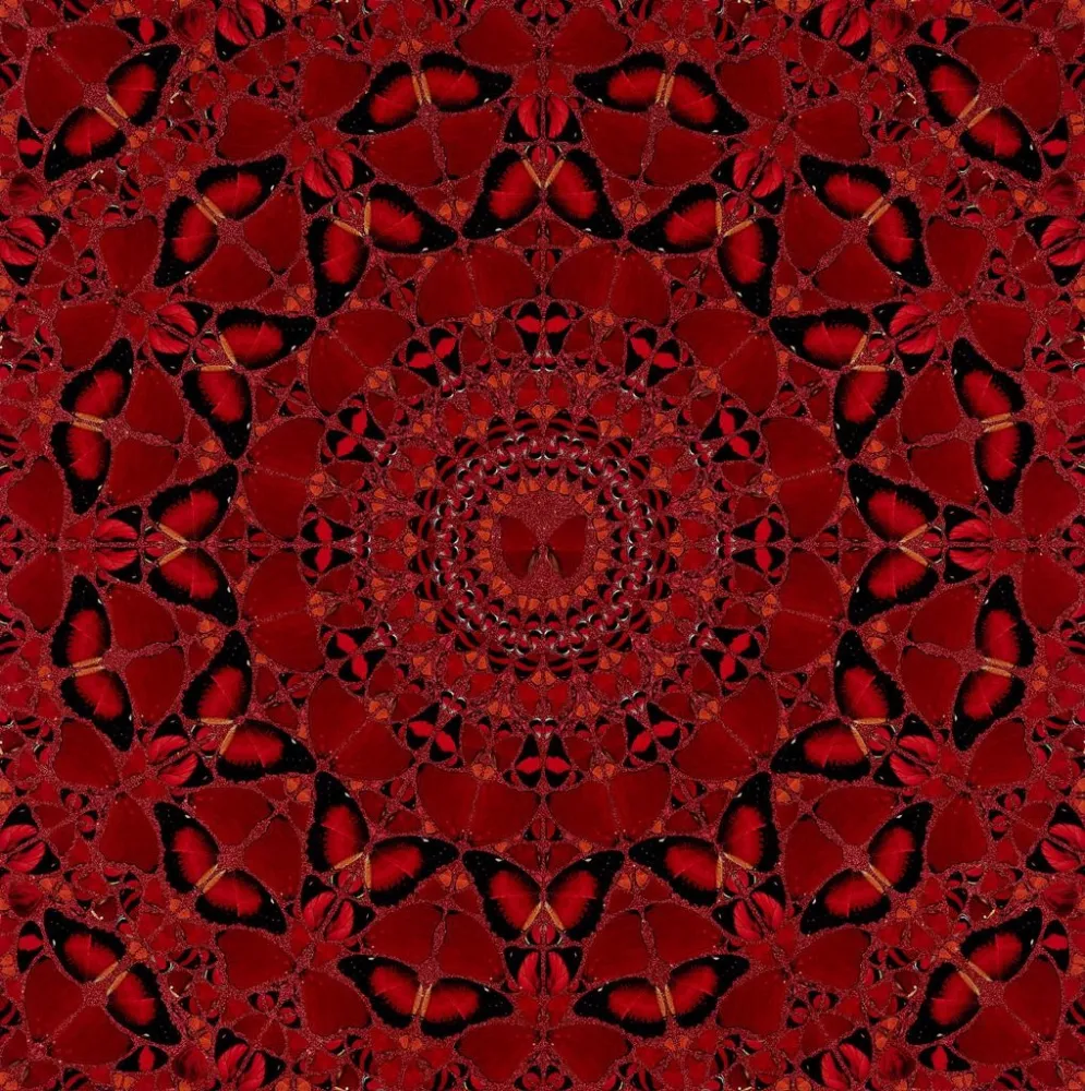 Serigrafia Hirst - H10-4 Suiko