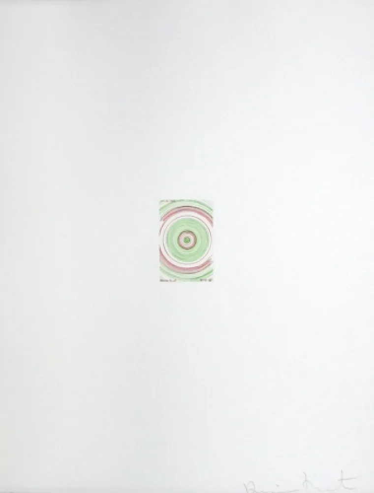 Incisione Hirst - In a Spin, from In a Spin