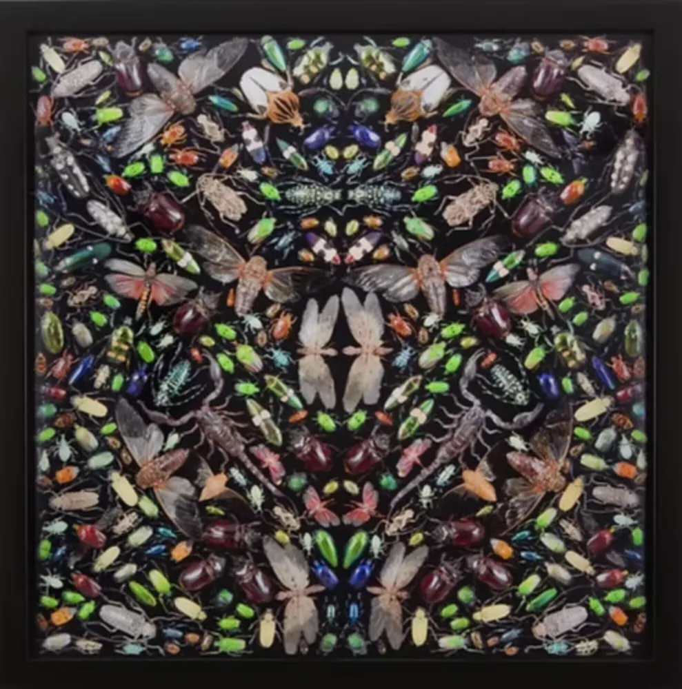 Multiplo Hirst - Inferno