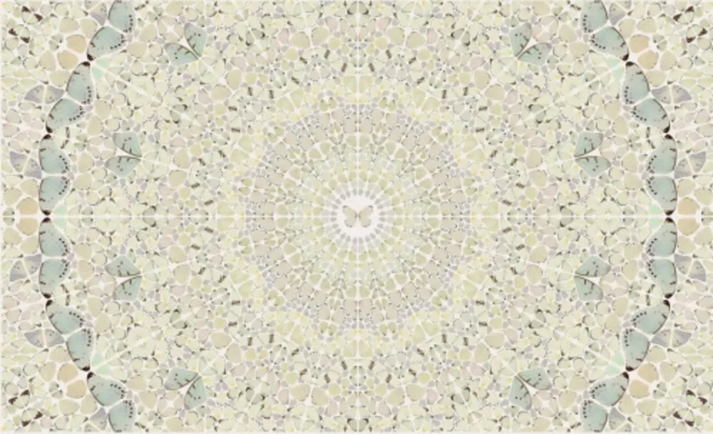 Multiplo Hirst - Intricacy from the Kaleidoscopes, H18-5