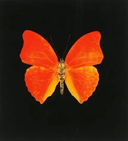 Multiplo Hirst - Memento 3