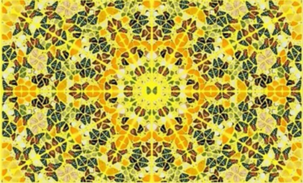 Multiplo Hirst - Splendour from the Kaleidoscopes, H18-4