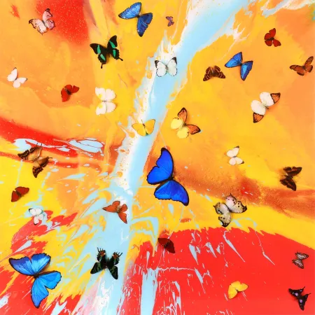 Multiplo Hirst - The Dreams – Aurora Dawn